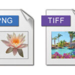 digital image formats